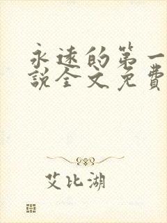 永远的第一名小说全文免费阅读