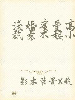 浅婚蜜爱高冷总裁惹不起小说免费阅读
