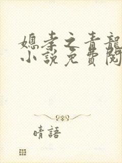 媳孝之青龙孽缘小说免费阅读封面