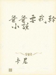 爸爸要我干妈妈 小说封面