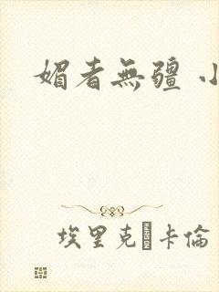 媚者无疆 小说封面