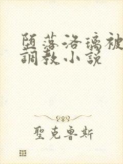 堕落洛璃被乞丐调教小说封面