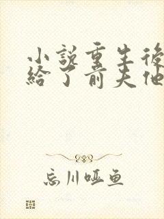 小说重生后我嫁给了前夫他四叔