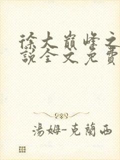 徐大巅峰之路小说全文免费阅读