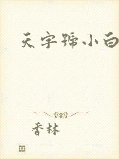 天字号小白脸