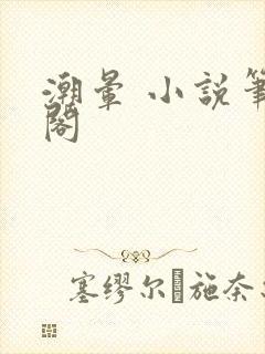 潮晕 小说笔趣阁
