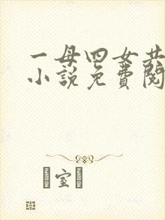 一母四女共一婿小说免费阅读封面
