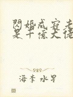闪婚成宠老公竟是千亿大佬短剧封面