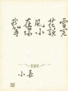 我在风花雪月里等你小说完整免费