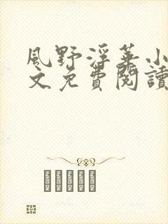 风野浮华小说全文免费阅读无弹窗