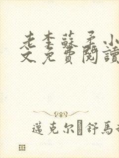老李苏柔小说全文免费阅读