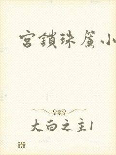 宫锁珠帘小说封面