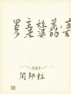 男主姓叶,有很多老婆的玄幻小说