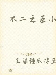 不二之臣小说