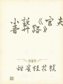 小说 《官夫人晋升路》
