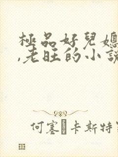 极品好儿媳秦雨,老旺的小说免费阅读全文封面