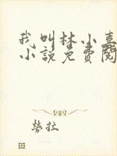 我叫林小喜全文小说免费阅读