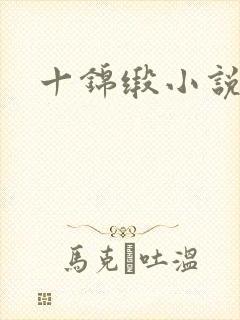 十锦缎小说