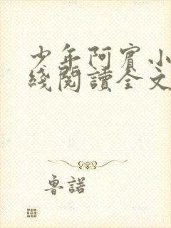 少年阿宾小说在线阅读全文无删减