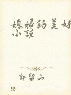 媳妇的美好时代小说封面