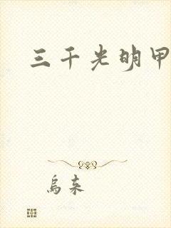三千光明甲