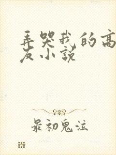 弄哭我的高冷室友小说