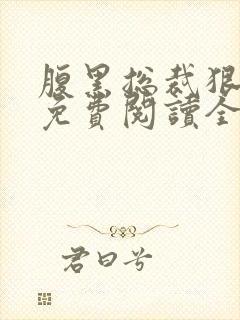 腹黑总裁狠给力免费阅读全文