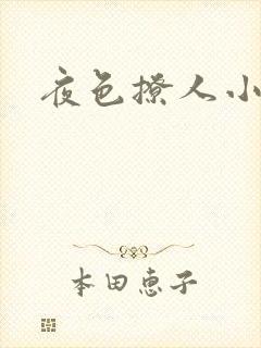 夜色撩人小说