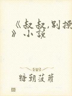 《叔叔,别撩我》小说
