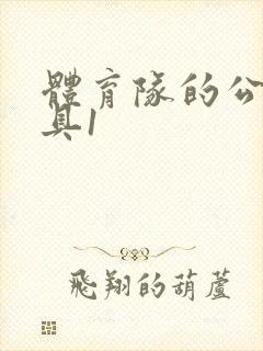 体育队的公用玩具1