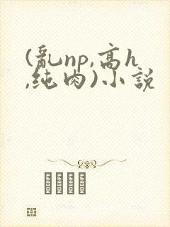 (乱np,高h,纯肉)小说