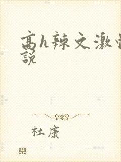 高h辣文激情小说
