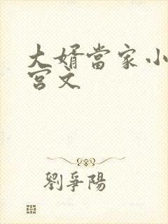 大婿当家小说后宫文封面