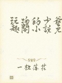 玩物的少爷们笔趣阁小说免费阅读