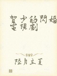 贺少的闪婚暖妻电视剧