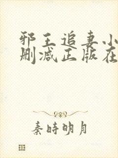 邪王追妻小说无删减正版在线阅读封面