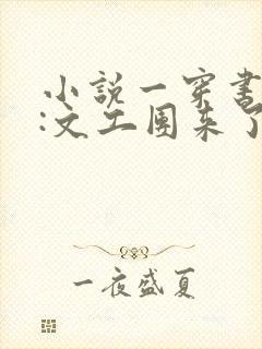 小说一穿书七零:文工团来了个大美人