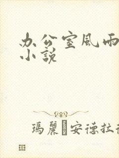 办公室风雨完整小说