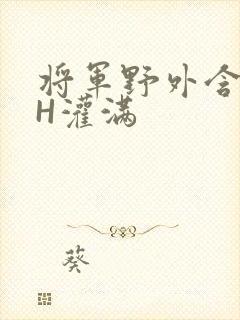 将军野外含公主H灌满