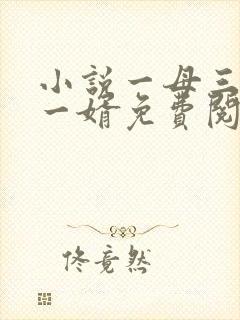 小说一母三女共一婿免费阅读封面