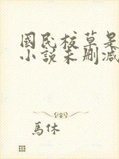 国民校草是女生小说未删减版