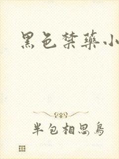 黑色禁药小说封面