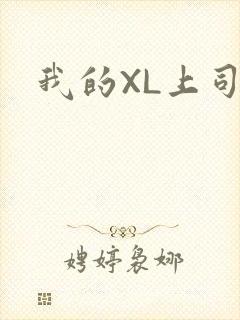 我的XL上司