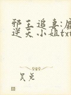 邪王追妻:废材逆天小姐txt