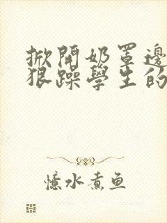 掀开奶罩边躁狠狠躁学生的小文字