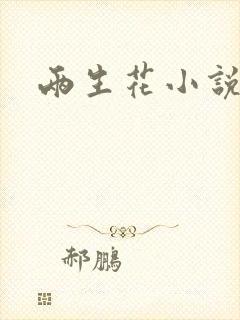 两生花小说封面