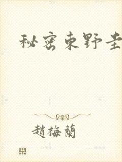 秘密东野圭吾