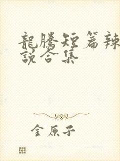 龙腾短篇辣文小说合集