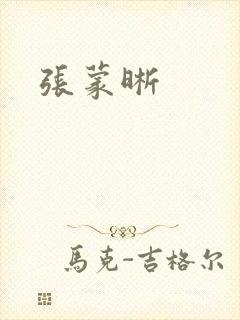 张蒙晰封面