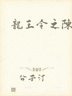 龙王令之陈平封面